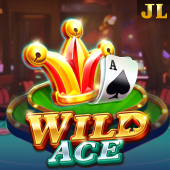 Wild Ace Gakuran Codes slot